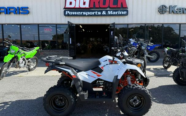 2027 Kayo Bull 300 EFI