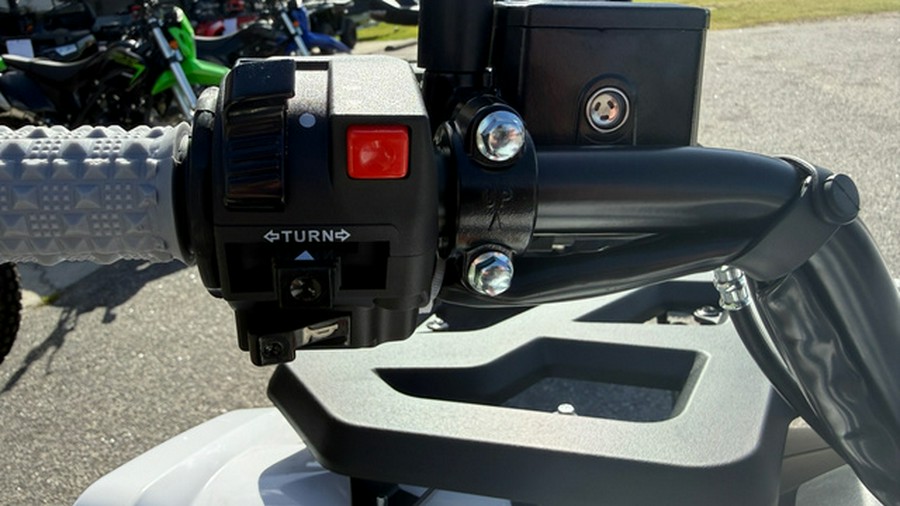 2027 Kayo Bull 300 EFI