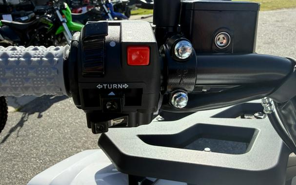 2027 Kayo Bull 300 EFI