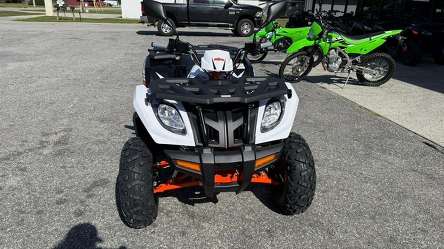 2027 Kayo Bull 300 EFI