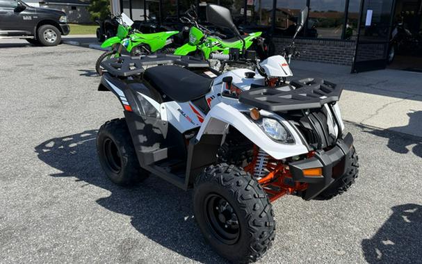 2027 Kayo Bull 300 EFI