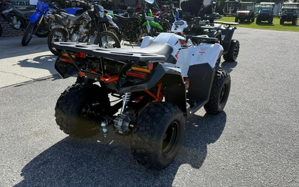 2027 Kayo Bull 300 EFI