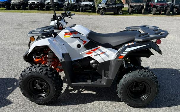 2027 Kayo Bull 300 EFI
