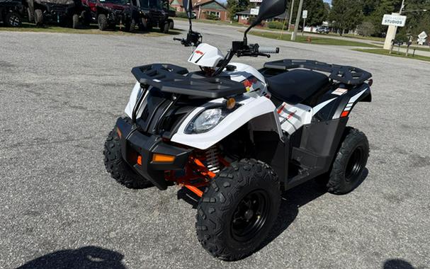 2027 Kayo Bull 300 EFI