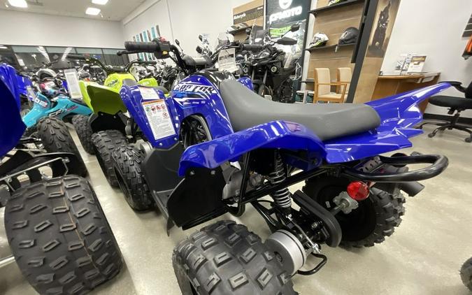 2026 Yamaha Raptor 110