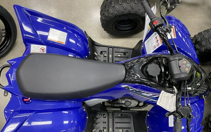 2026 Yamaha Raptor 110