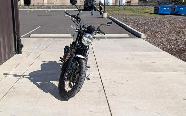 2025 Royal Enfield Bear 650 Wild Honey