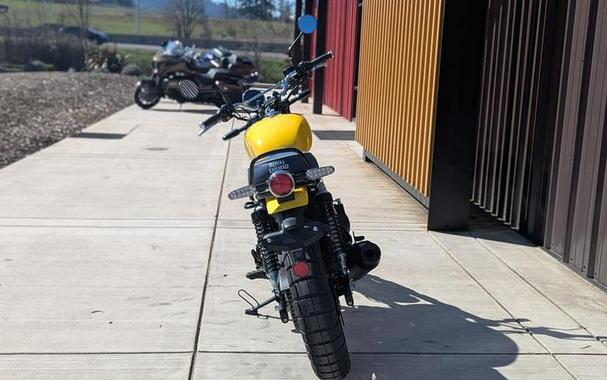 2025 Royal Enfield Bear 650 Wild Honey