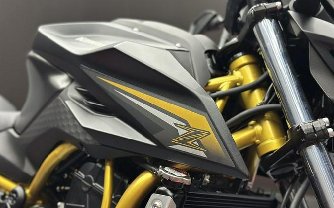 2026 Kawasaki Z1100 SE ABS
