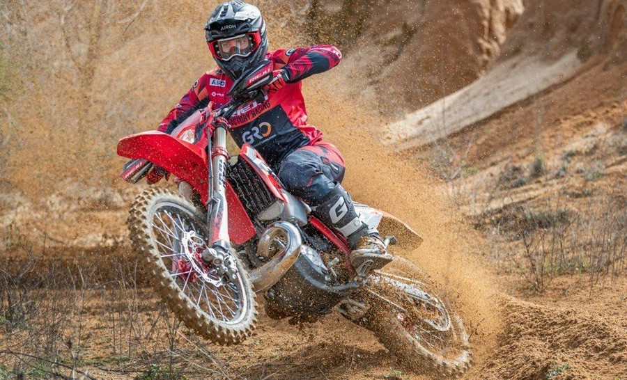 2026 RIEJU MR PRO 300i