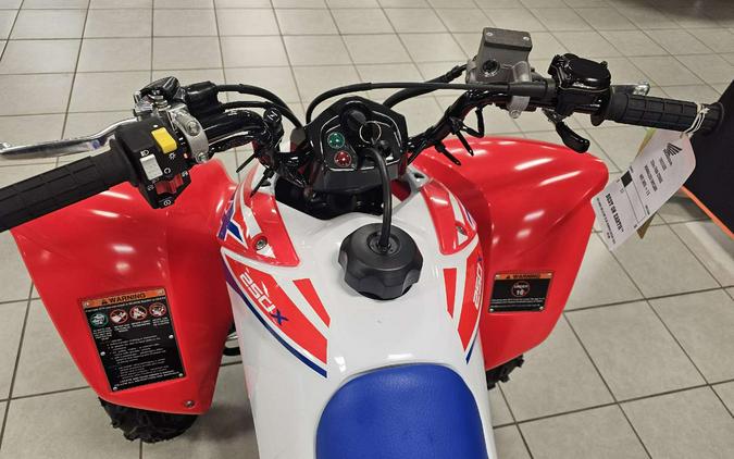 2026 Honda TRX 250X