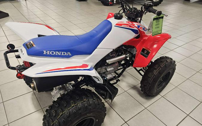 2026 Honda TRX 250X