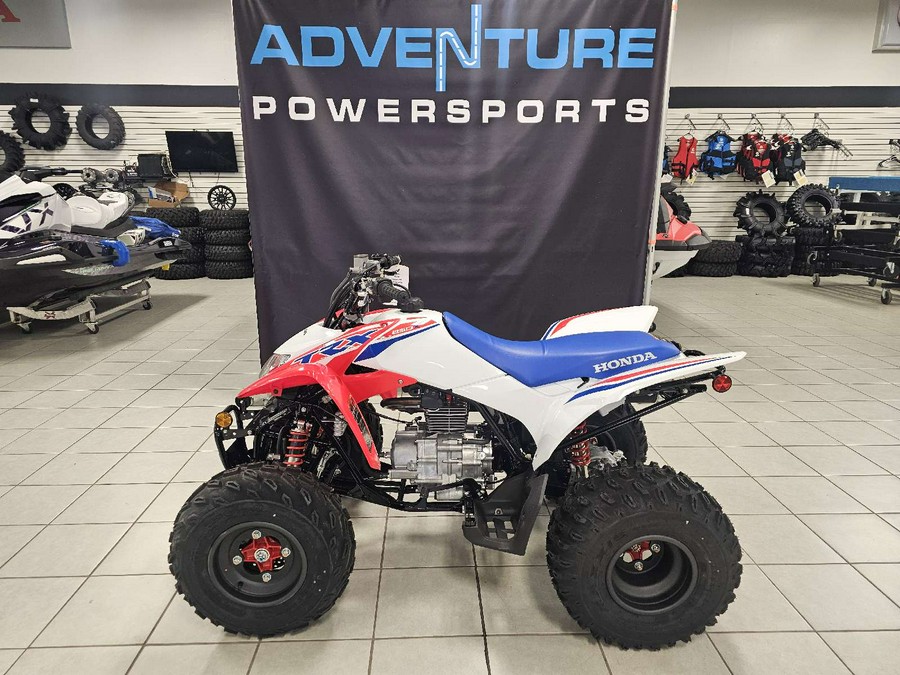 2026 Honda TRX 250X