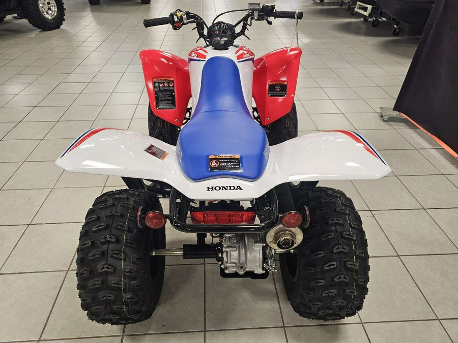 2026 Honda TRX 250X