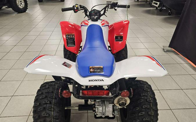 2026 Honda TRX 250X