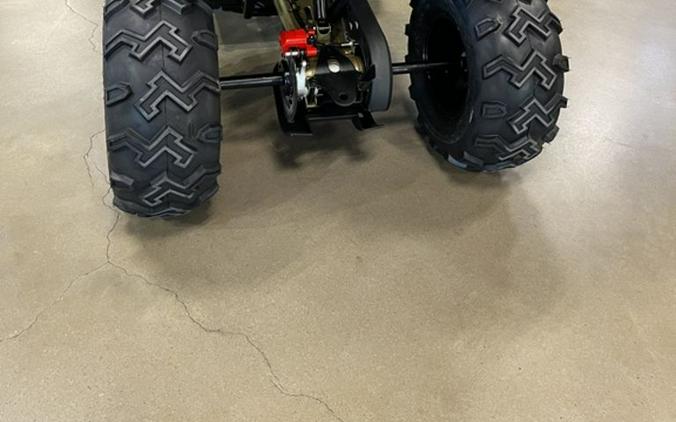 2026 Denago EV Mudhawk 200FI