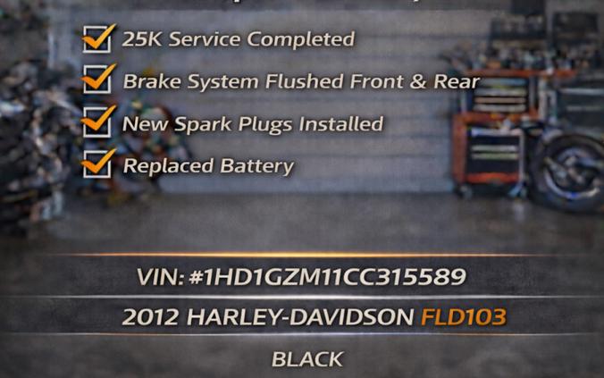 FLD 2012 Switchback™