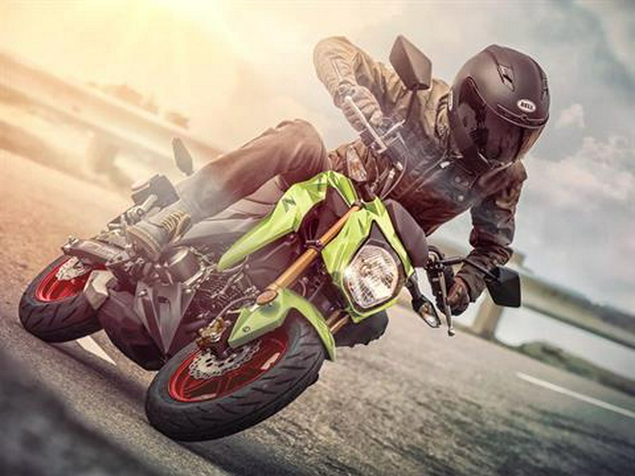 2026 Kawasaki Z125 Pro