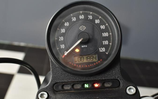 2021 Harley-Davidson Iron 883