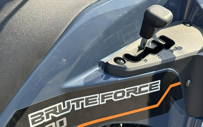2025 Kawasaki Brute Force® 300