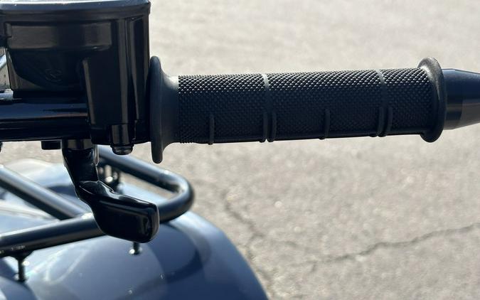 2025 Kawasaki Brute Force® 300