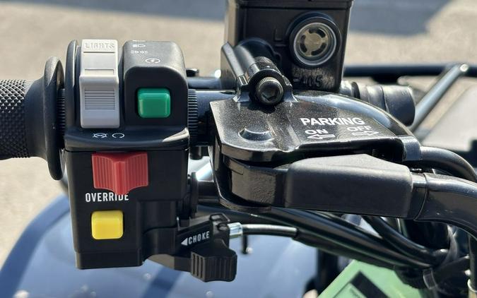 2025 Kawasaki Brute Force® 300