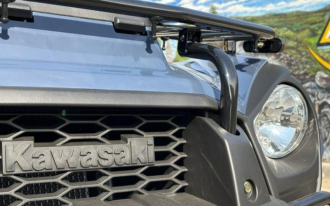 2025 Kawasaki Brute Force® 300