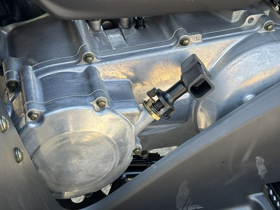 2025 Kawasaki Brute Force® 300