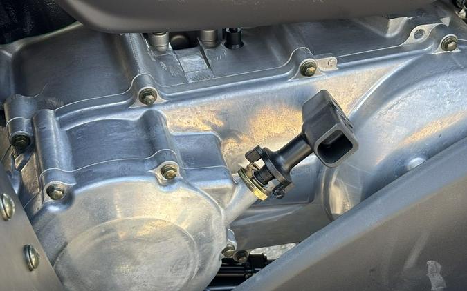 2025 Kawasaki Brute Force® 300