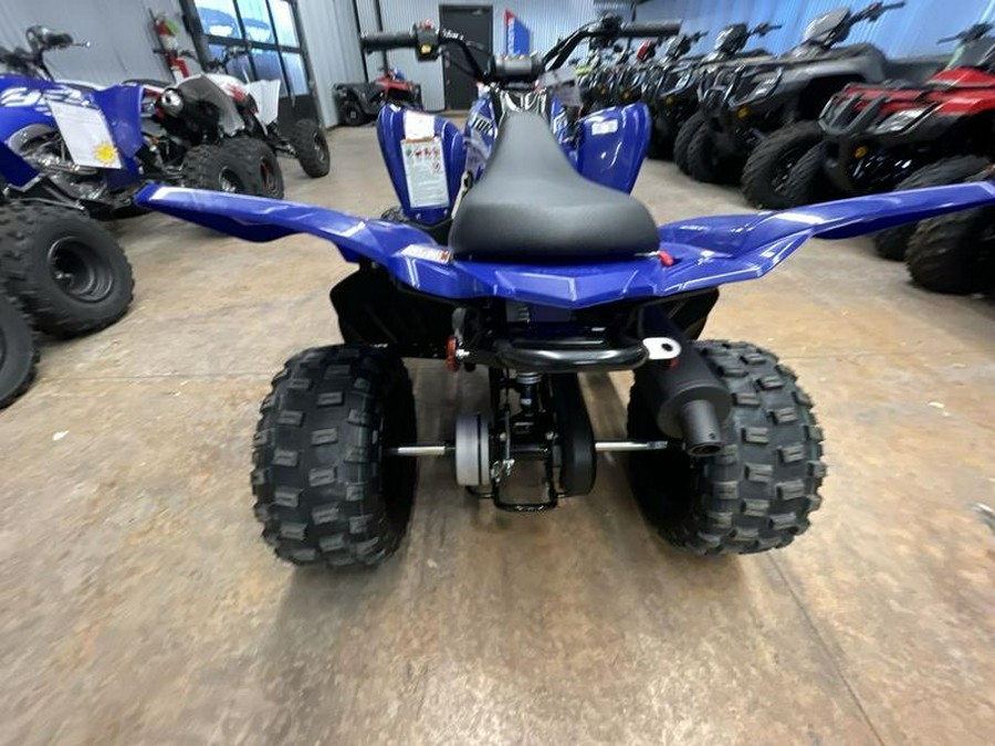 2026 Yamaha Raptor 110
