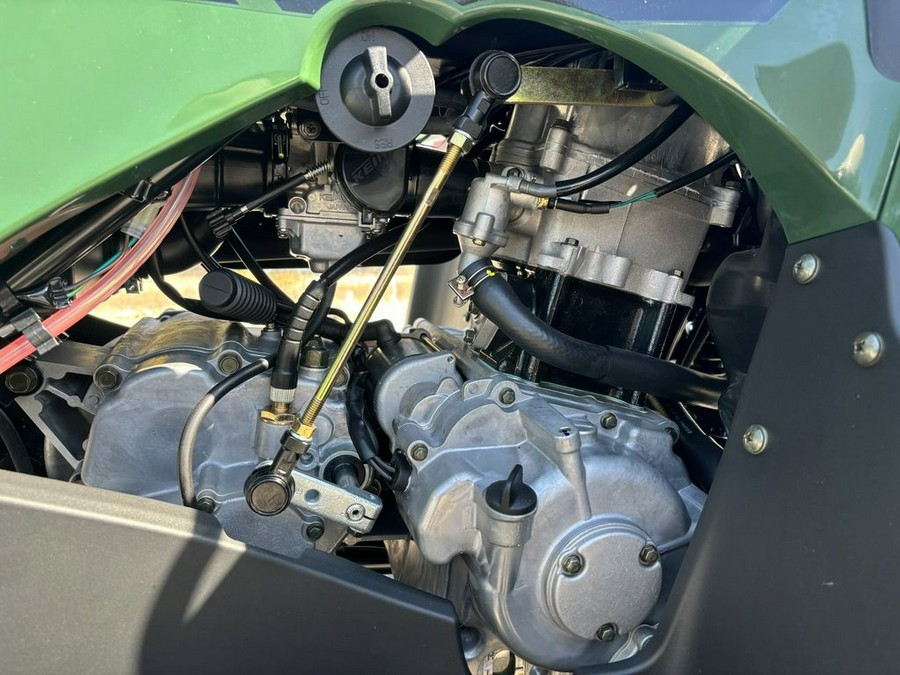 2025 Kawasaki Brute Force® 300