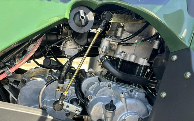 2025 Kawasaki Brute Force® 300