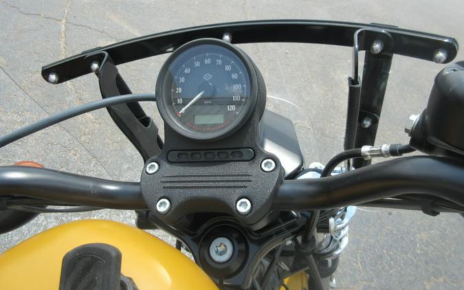 2019 HARLEY SPORTSTER IRON 883