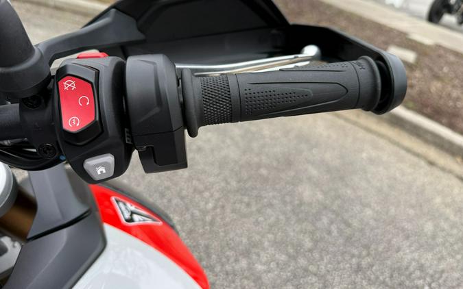 2025 Triumph Tiger 900 Rally Pro