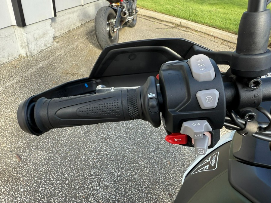 2025 Triumph Tiger 900 Rally Pro