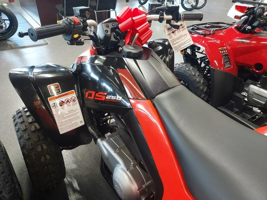 2024 Can-Am® DS 250