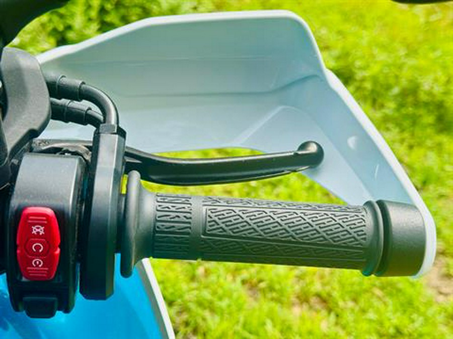 2025 CFMOTO IBEX 450