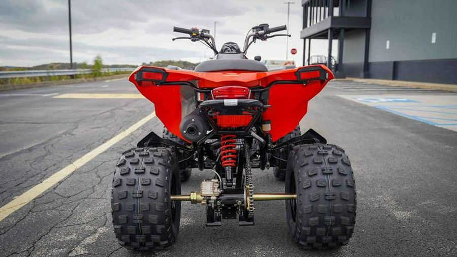 2026 Can-Am® DS 250