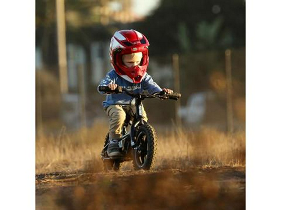 2025 Stacyc 12eDRIVE