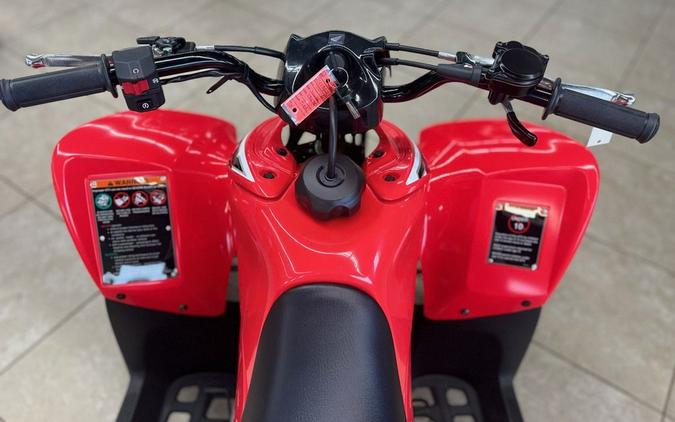 2026 Honda® TRX90X