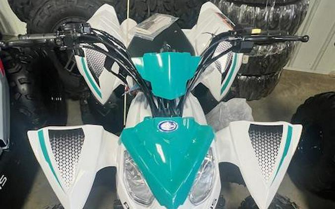 2025 A25YKA11B1 - Polaris