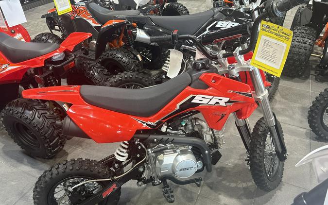2025 SSR Motorsports SR110 SE