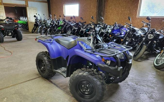 2024 Yamaha Kodiak 450