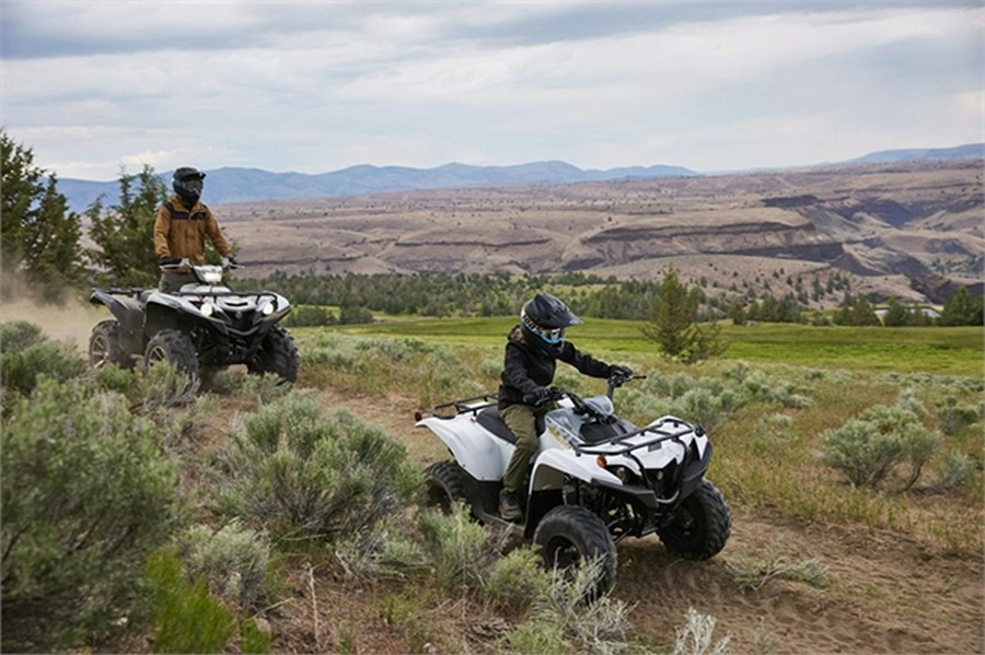 2024 Yamaha Grizzly 90