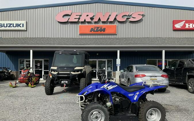 2006 Yamaha YFM45FXVL
