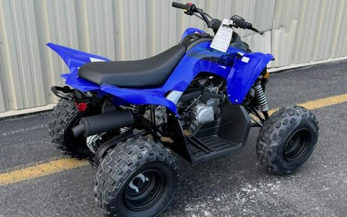 2025 Yamaha Raptor 110