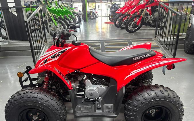 2026 Honda TRX90X