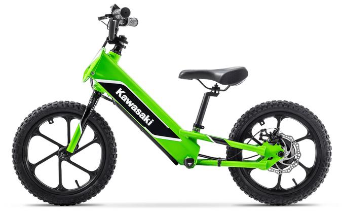 2023 Kawasaki Elektrode