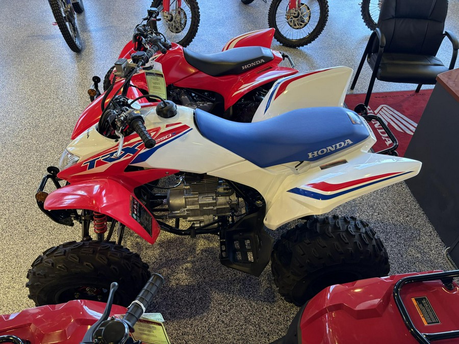 2026 Honda TRX250X