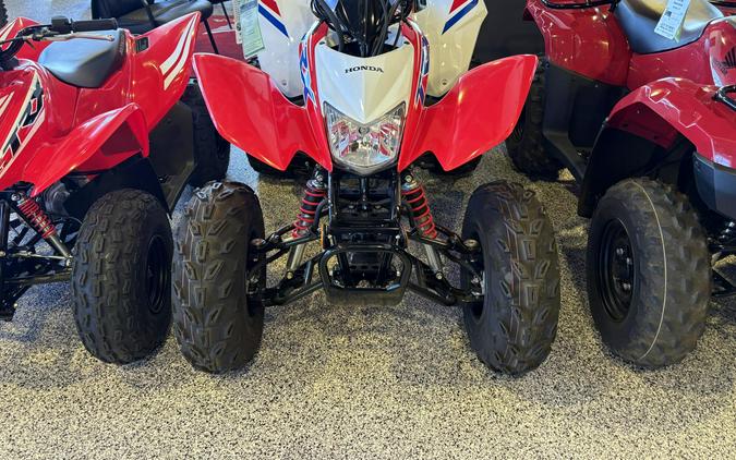 2026 Honda TRX250X